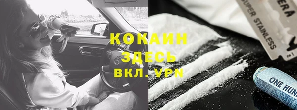 шишки Аркадак