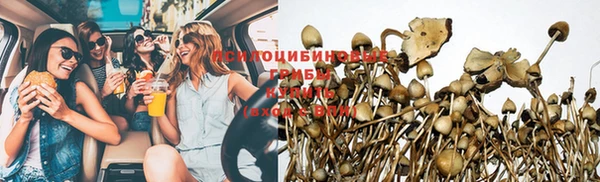 гидра Балабаново