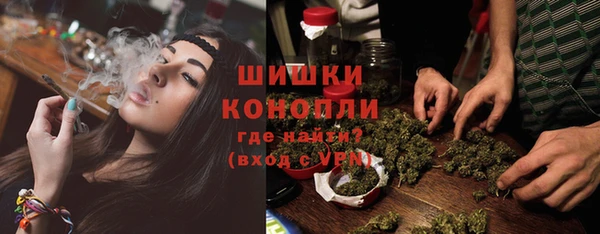 крисы Белокуриха